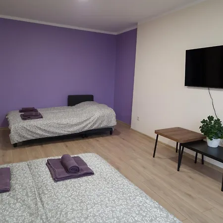 Cesu Majas Akmens Iela Apartment *