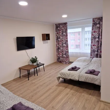 Cesu Majas Akmens Iela